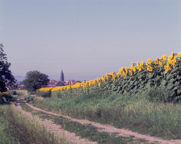 Vue de la ville de Maringues depuis le lieu-dit Le Tertre Pouilleux