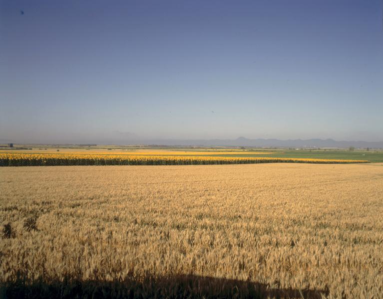 Vue générale de la plaine de Limagne aux environs de Maringues