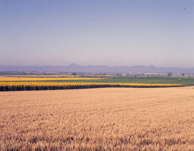 Vue générale de la plaine de Limagne aux environs de Maringues