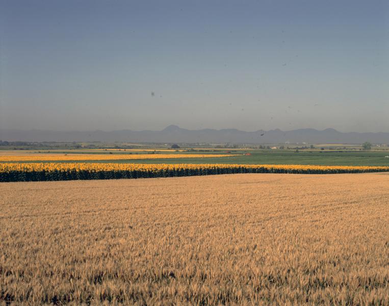Vue générale de la plaine de Limagne aux environs de Maringues