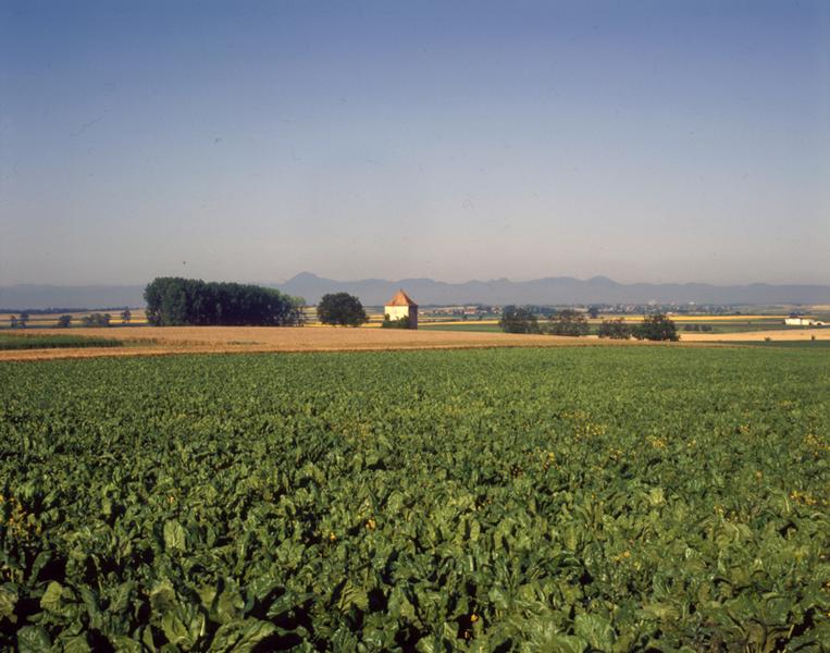 Vue générale de la plaine de Limagne aux environs de Maringues