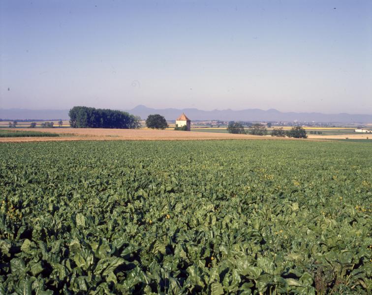 Vue générale de la plaine de Limagne aux environs de Maringues