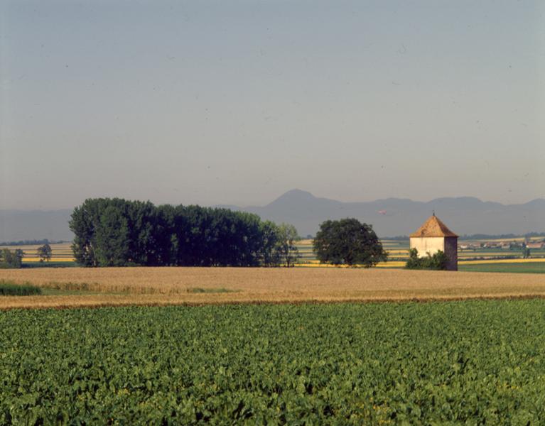 Vue générale de la plaine de Limagne aux environs de Maringues