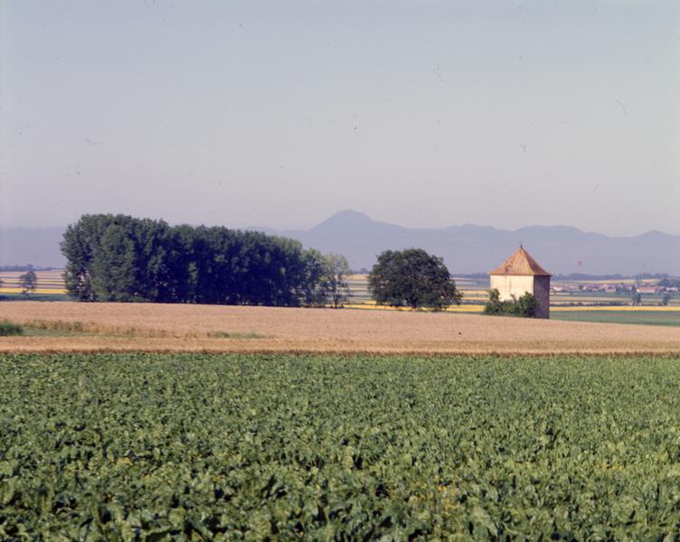 Vue générale de la plaine de Limagne aux environs de Maringues