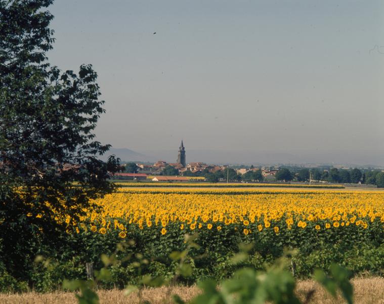 Vue générale de la plaine de Limagne et de la ville de Maringues