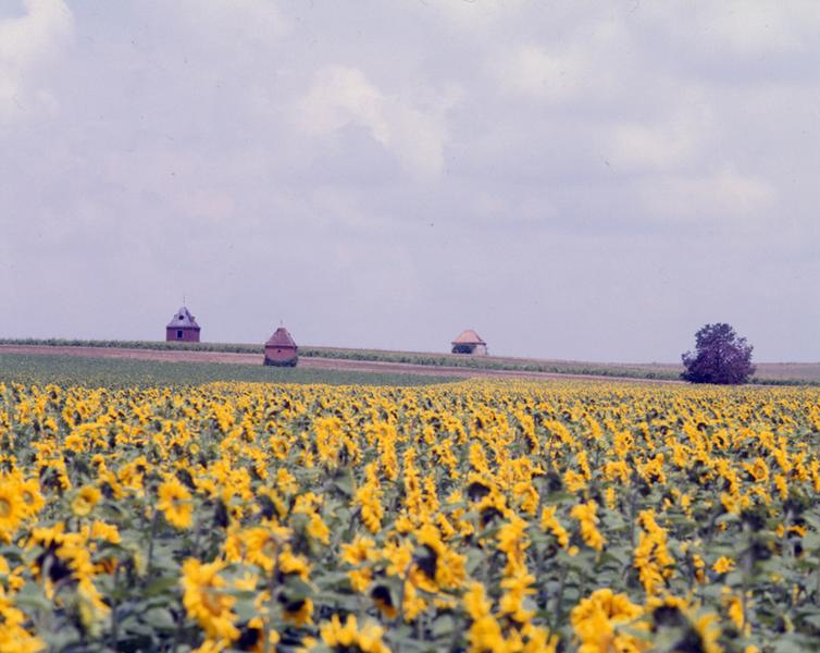 Vue générale du lieu-dit Le Tertre Pouilleux, sur la commune de Maringues.