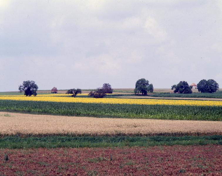 Vue générale du lieu-dit Le Tertre Pouilleux, sur la commune de Maringues.