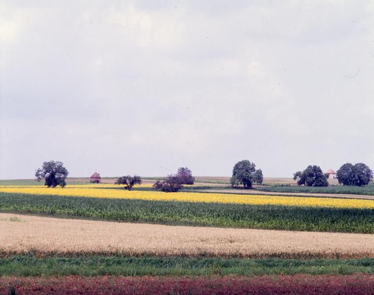 Vue générale du lieu-dit Le Tertre Pouilleux, sur la commune de Maringues.