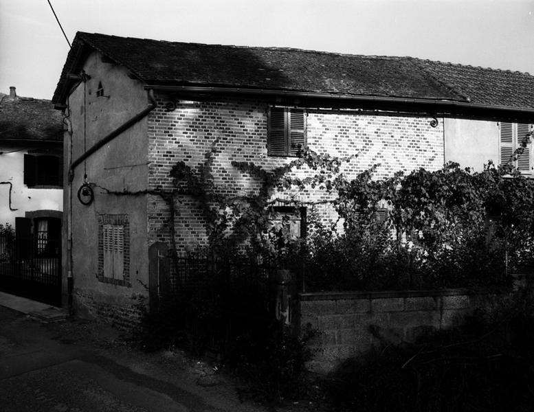 Vue générale d'un logis de ferme à élévation en briques polychormes (Luzillat, village)