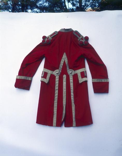 Manteau de suisse, dos, vue générale