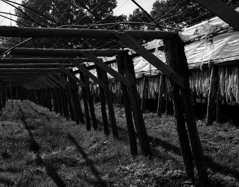 Détail de la structure d'un séchoir à tabac (village de Demolles)