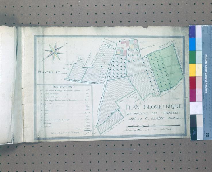 Plan géométrique du domaine des Fourniers. Appt au C. Blaize Boudet., 1ère planche d'un atlas de onze planches, dessin encre et lavis sur papier, s.n., s.d.[fin du XVIIIe siècle:1792?]
