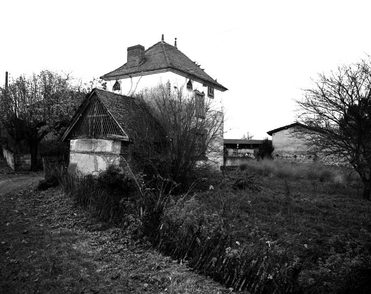 Vue générale d'un pigeonnier sur four à pain (Demolles, Luzillat)