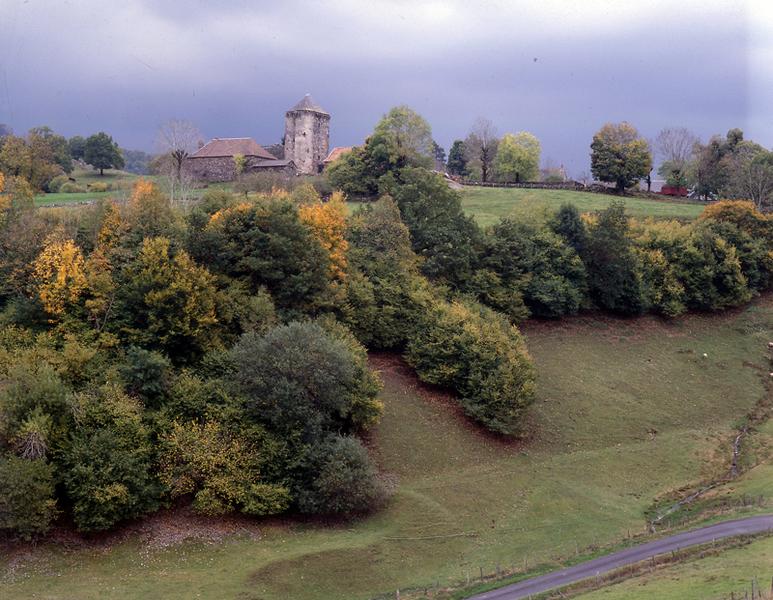 Vue du site