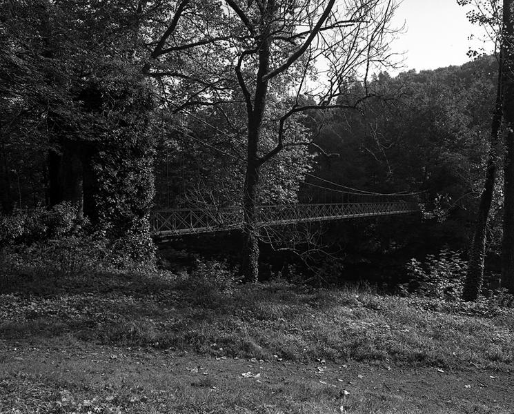Vue depuis la rive droite : pylône et tablier
