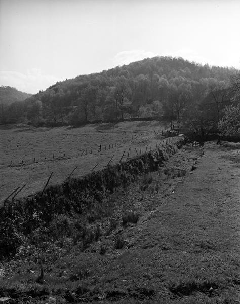 Bassin situé à l'arrière du château