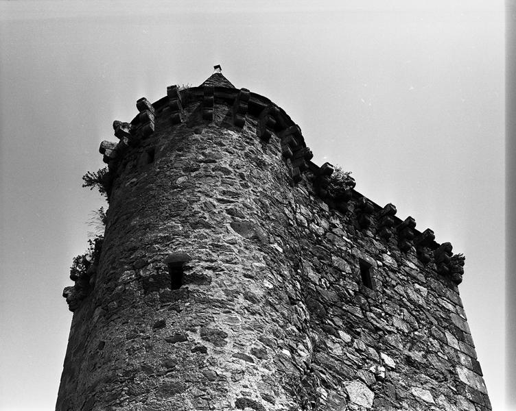 Machicoulis de la tour et de son escalier