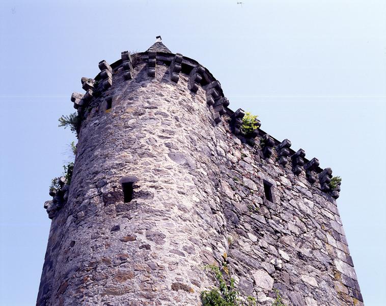 Machicoulis de la tour et de son escalier