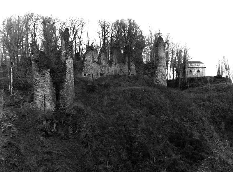 Vue générale des ruines du château