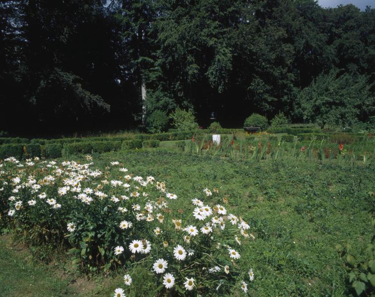 Vue partielle du jardin