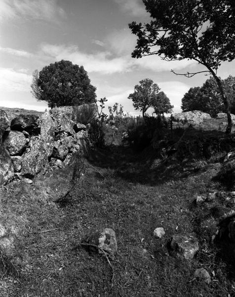 Chemin creux desaffecté vers Ferreyrolles