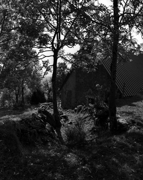 Vieux chemin au dessus de Ferreyrolles