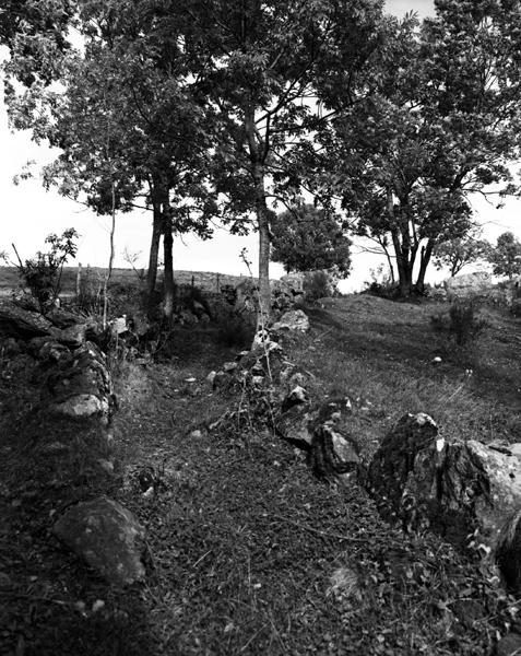 Chemin creux au dessus de Ferreyrolles