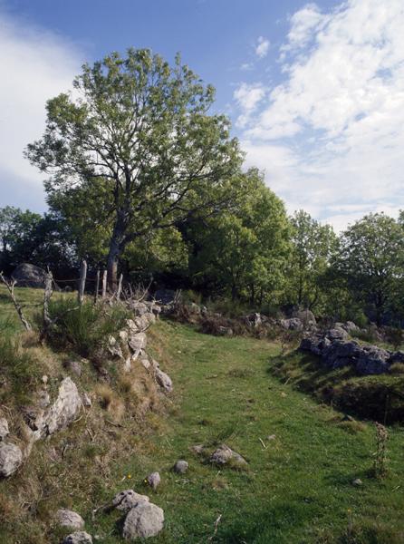 Chemin creux au dessus de Ferreyrolles