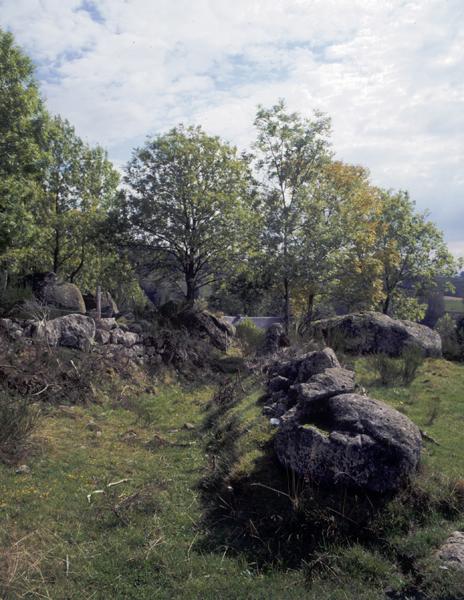 Chemin creux au dessus de Ferreyrolles