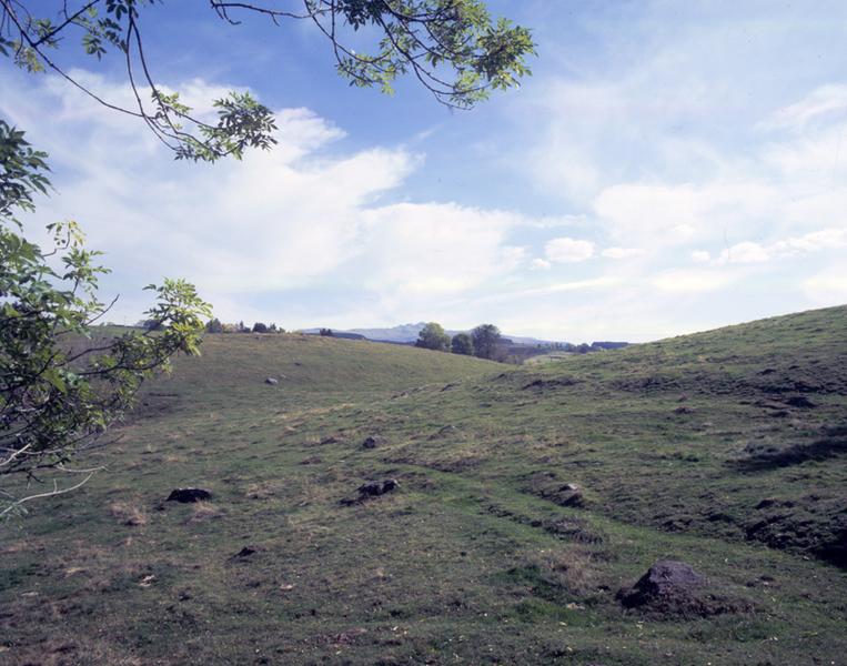 Paysage de prairies