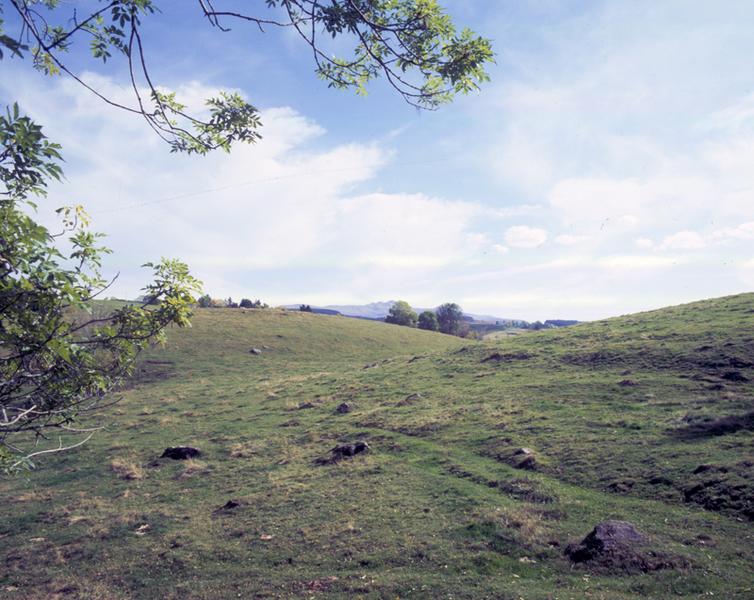 Paysage de prairies