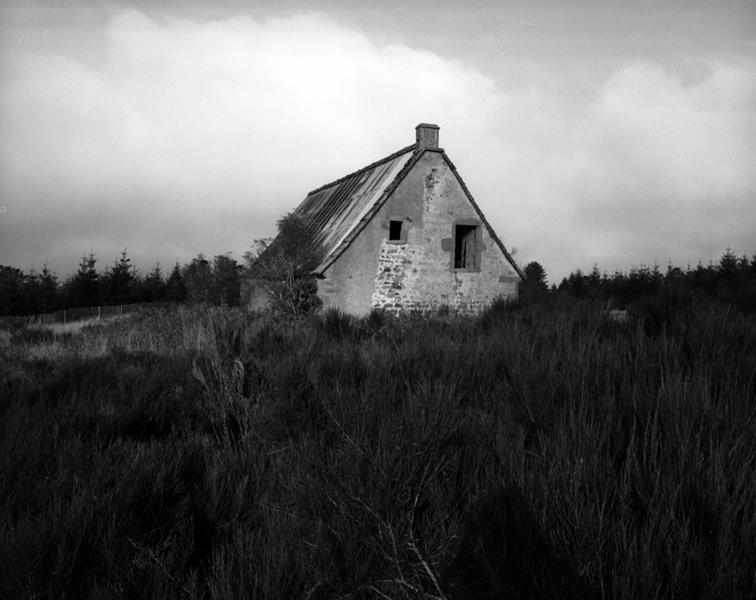 Vue générale du buron. Les patures sont abandonées et les genêts colonisent la prairie en attendant le développement des forêts de résineux.