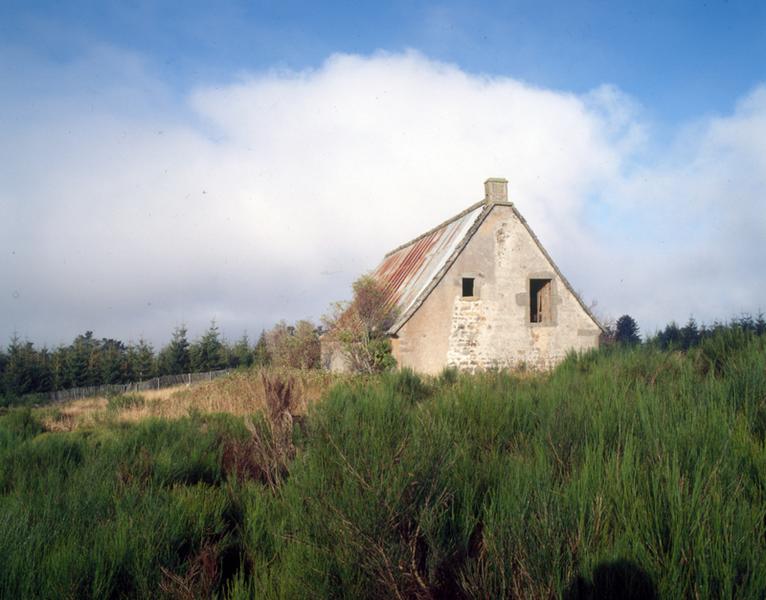 Vue générale du buron. Les patures sont abandonnées et les genêts colonisent la prairie en attendant le développement des forêts de résineux.