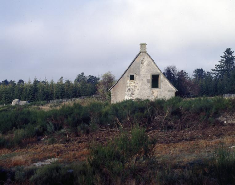 Vue générale du buron. Les patures sont abandonnées et les genêts colonisent la prairie en attendant le développement des forêts de résineux.
