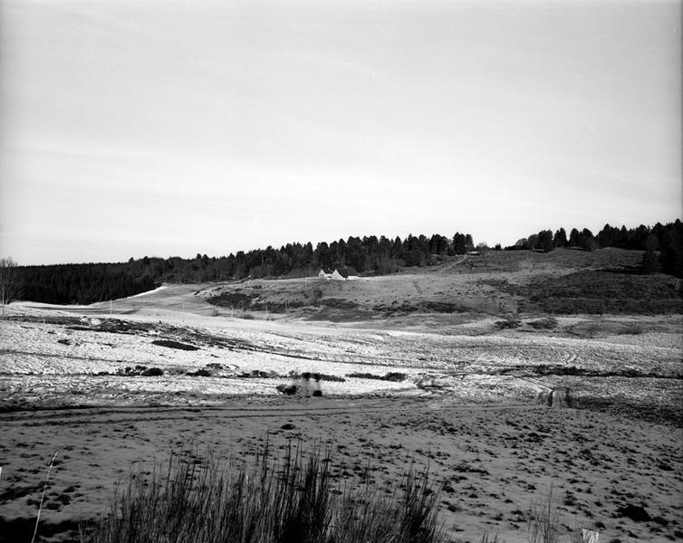 Vue des burons de Nodif. Les reboisements de résineux gagnent sur les prairies.