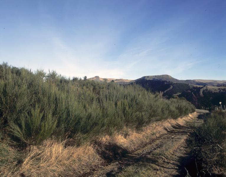 Vue générale de La Tour et de la vallée de la Burande