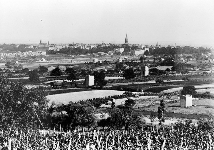 Vue générale de Riom et des jardins environnants depuis le Nord