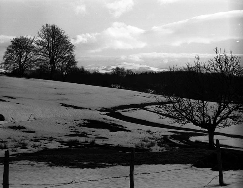 Secteur est de Cros, moins vallonné avec des prairies entrecoupées de forêts.