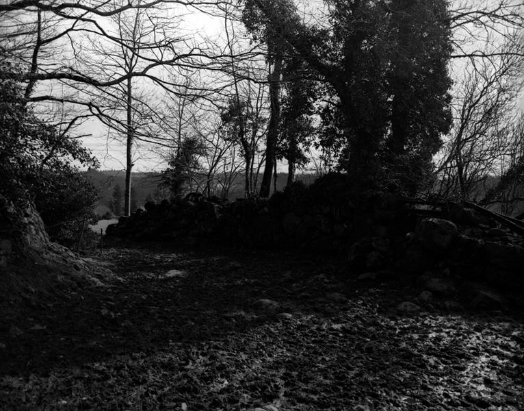 Château de la Tartière : détail du fossé de la 1ere enceinte