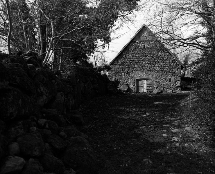 Château de la Tarière : vue du fossé de la 1ere enceinte