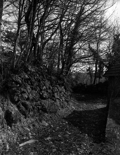 Château de la Tartière, détail du fossé de la 1ere enceinte
