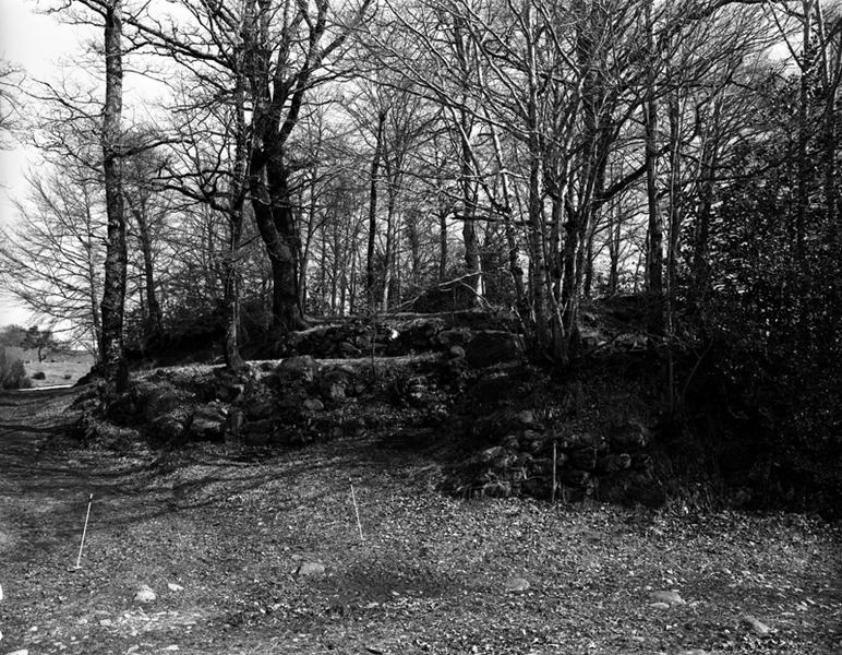 Château de la Tartière : plate-forme du donjon