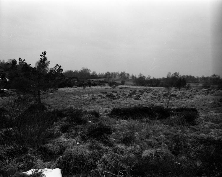 Sud de la commune : tourbière vers Esplanchat