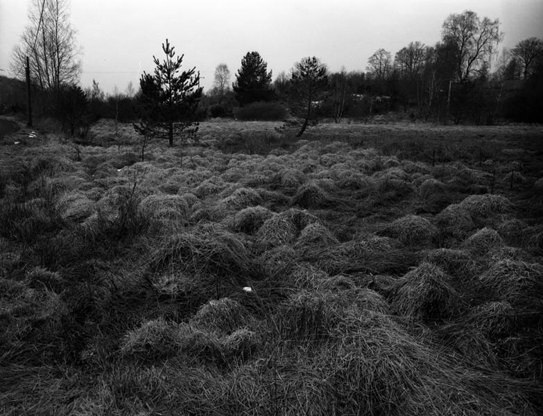 Sud de la commune, paysage de tourbière sous Esplanchat