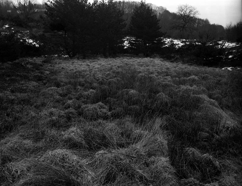Sud de la commune : tourbière vers Esplanchat. Le bombement indique la phase finale de l'évolution de la tourbière.