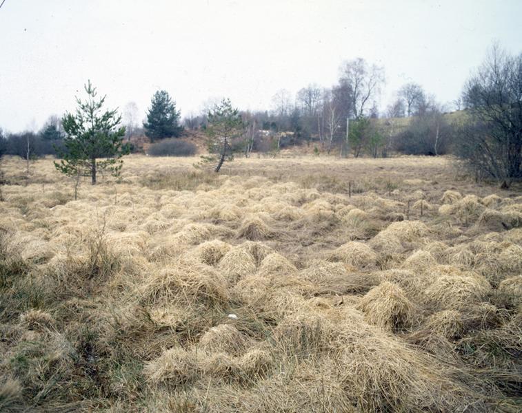 Secteur sud de Cros : les fonds de vallée sont occupés par des tourbières.