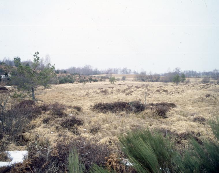 Sud de la commune : tourbière vers Esplanchat