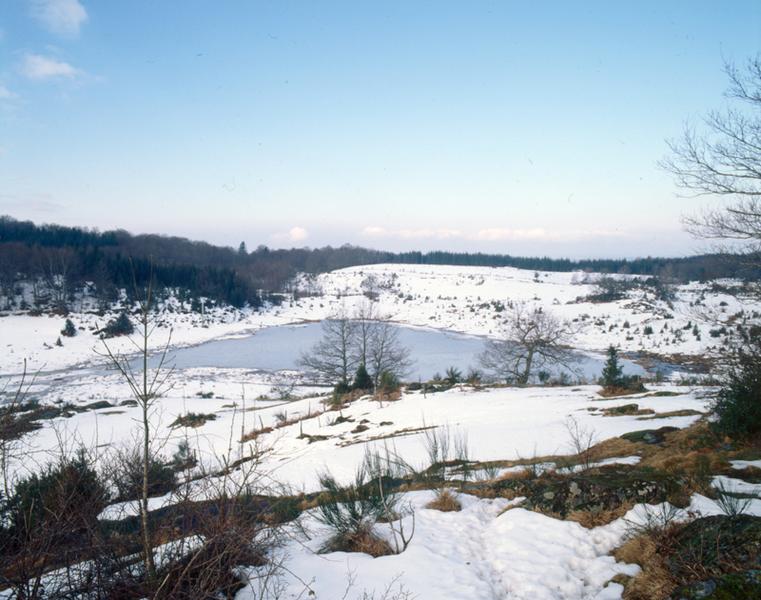 Vue du lac de Lacoste