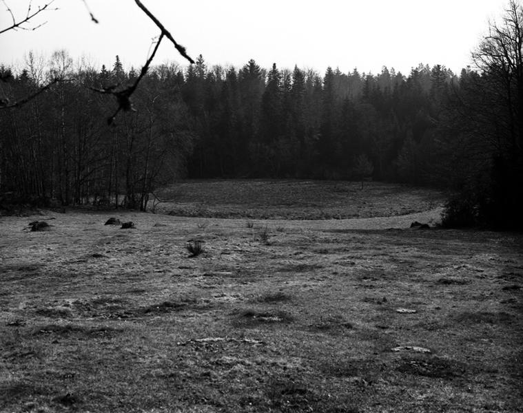 Tourbière de Serry : elle occupe un bas-fond peu marqué enserré par la forêt.