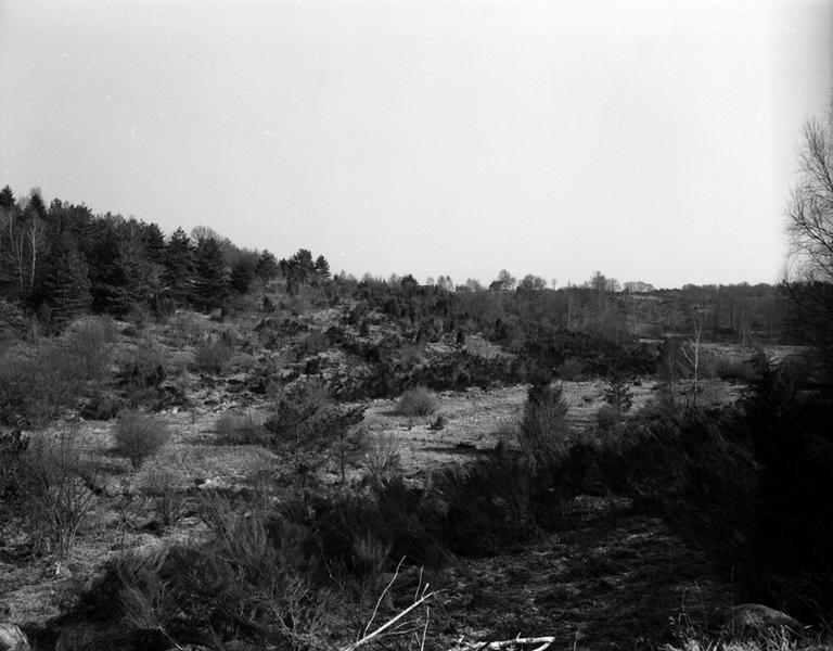 Secteur sud de Cros : les fonds de vallée sont occupés par des tourbières.